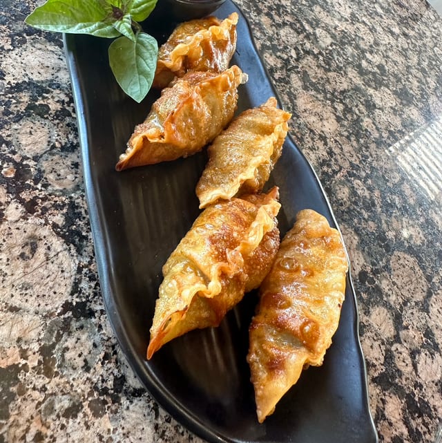 Fried Dumplings Beef.